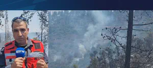 אש בהרי ירושלים: "אנחנו נכנסים לעידן של מגה-שריפות"