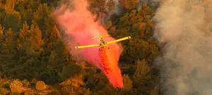 "אין ספק, השריפה הוצתה בידי אדם"