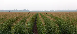 גם בגבעת שמואל: נקודת מכירה ל'אוצר הארץ'