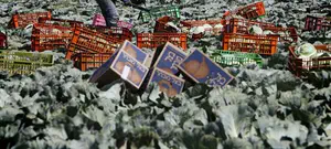 'שנת השבע' - מיזם לימוד אינטרנטי