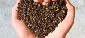 טיפים להנקה בקיץ    