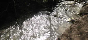 מטיילים במסלולים נגישים