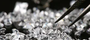 נגנבה קופסת קפה שבתוכה יהלומים