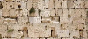 בקשת המקדש בימינו