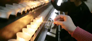 ניצולת השואה המפורסמת הפכה למטרה