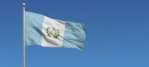 אחד מראשי הכת נעצר בחג בחשד להתעללות