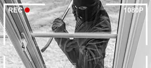 מי גנב את...?