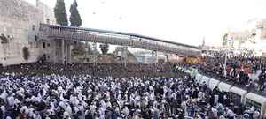 "קו חם" יאסוף תלונות על אלימות הרפורמיות