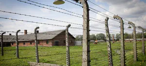 ארה"ב: נאצי בן 95 הוסגר לגרמניה