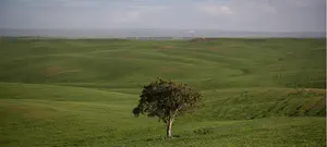 שנת היובל: ריסטארט לחיים או קץ העולם