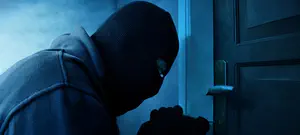 "המשטרה לא עושה דבר": התיעוד שהביא ללכידת פורצים ערבים