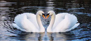 תקשורת - אבן יסוד בבניין הזוגיות