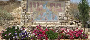 פרובוקציה משטרתית בישוב "בת עין"