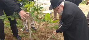 צפו: נטיעות עם הרב דב ליאור בבית אורות
