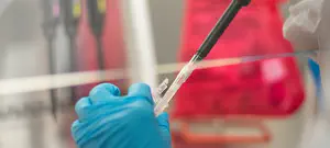 מה נלמד ברוחניות מהקורונה