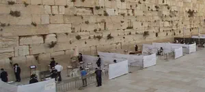 ניסתה להכניס ספר תורה לרחבה ונכשלה