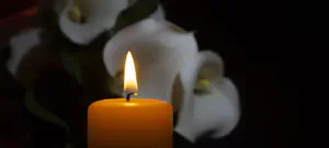 הרב דוד פיינשטיין הלך לעולמו