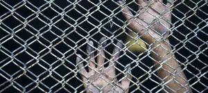 20 שנות מאסר על ראש מועצת ג'וליס לשעבר שהורשע ברצח