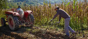 לקראת שמיטת תשפ"ב – היתר מכירה או אוצר בית דין?