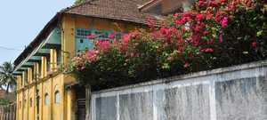 הודו: מפגינים נגד שיקום בית הכנסת