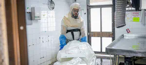 6,114 נפטרים מאז פרוץ המגפה