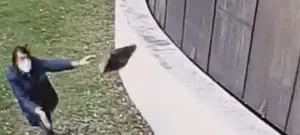 המתקפה על בית כנסת בגרמניה: נעצר חשוד ממוצא איראני