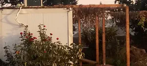 הכנסייה קובעת עובדות לא חוקיות בשטח