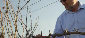 הגיע הזמן שהציונות הדתית תנהג ביושר