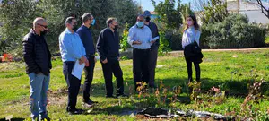 "הארץ תלויה במתיישביה"