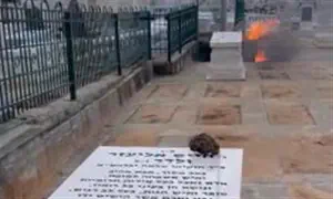 30 לחיים ולדר: ספרי ולדר נשרפו מול קברו