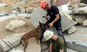 Israel Dog Unit trains local responders for building collapse