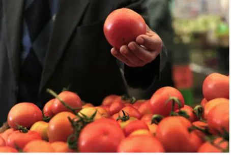 Israeli tomatoes are highly prized around the