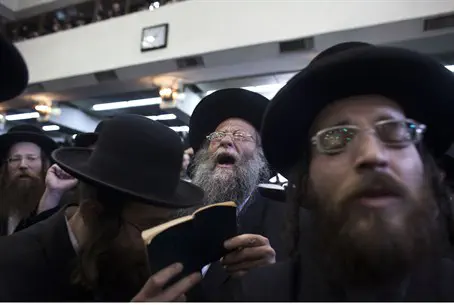 hassidim
