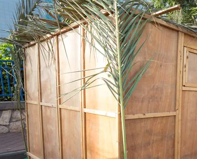 Selected laws of building a Sukkah