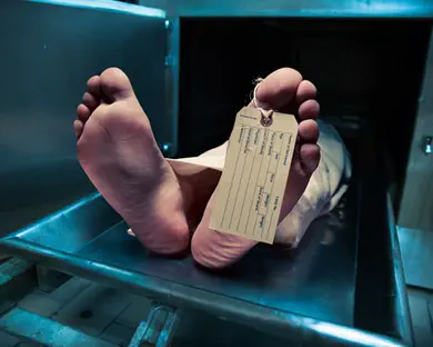 הגופה התחילה לזוז - רגע לפני הנתיחה