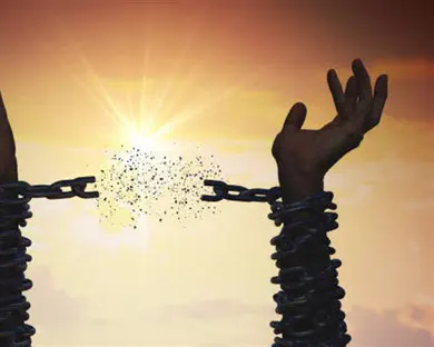 טריוויה שבועית: יוצאים מעבדות לחירות