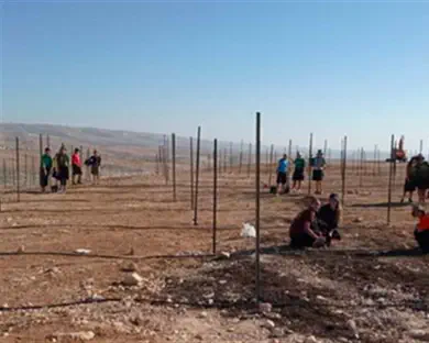 הדור הצעיר עצל ומפונק? 