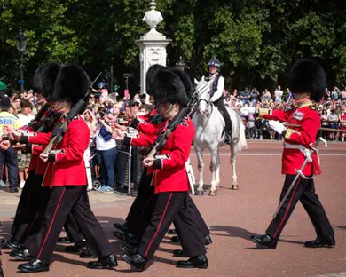 משפחת המלוכה הפרה את החוק?