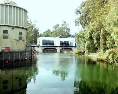 בשנה הבאה, אולי                