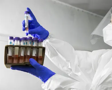 צרות בצרורות: 4 חיוביים בהפועל ת"א