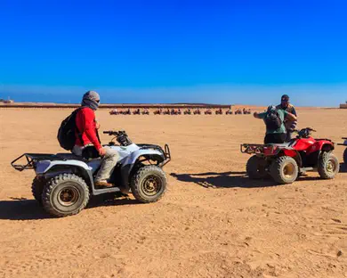 הסרטון שחורך את הרשת
