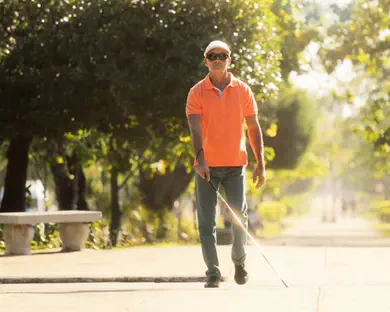 נחשף מנגנון מערכת הראייה של עיוורים