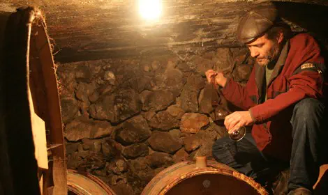 יורם כהן ביקב תניא