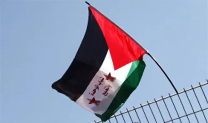 Палестинский флаг. Иллюстрация