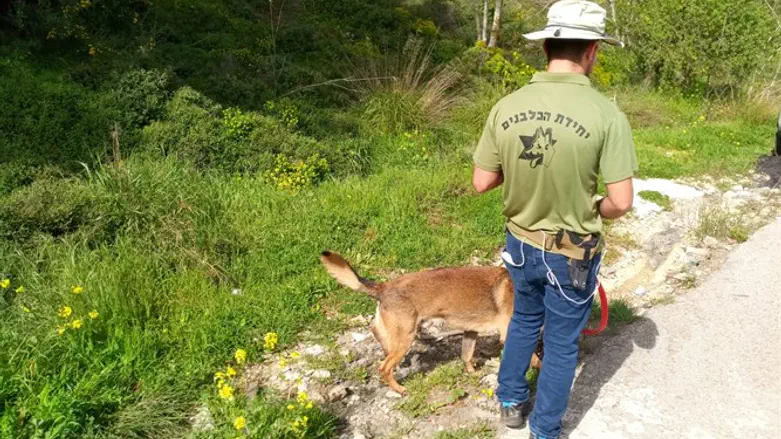 Israel Dog Unit volunteer during search operations