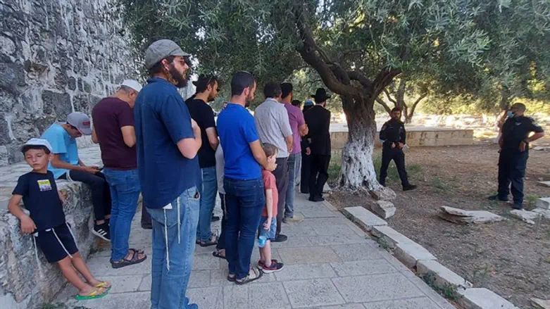 Jews pray on Temple Mount on Tisha B'Av