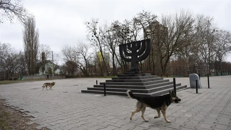 Stray dogs roam the Babi Yar monument on March 14, 2016 in Kiev