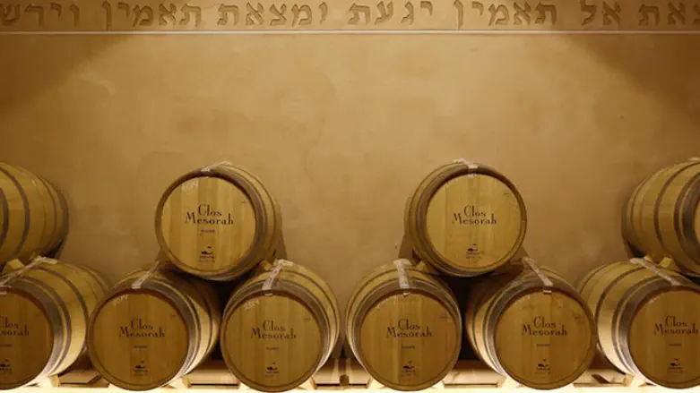 Barrels of Elvi Wines' Clos Menorah vintag