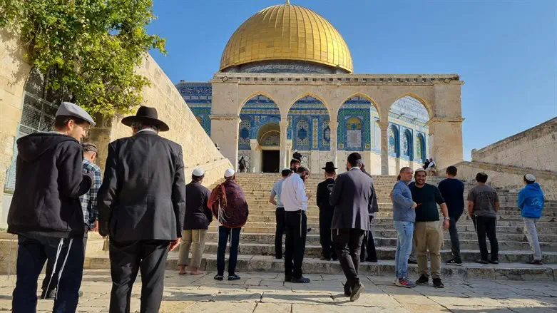 Jews visit the Temple Mount