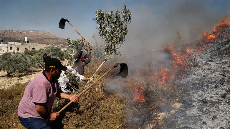 Arab farmers extinguish fire sparked near village of Burin
